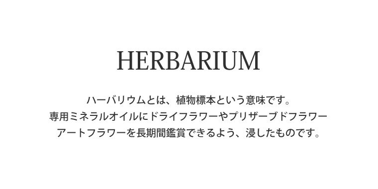 【あす楽&日付指定可】 お供え物 贈り物 お供...の紹介画像3