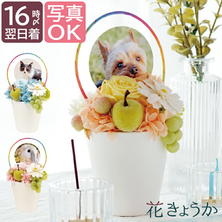 【あす楽＆日付指定可】 プリザーブドフラワー お供え ペット 花 『 虹の橋 』 犬 お悔やみ 贈り物 ペット供養 お供え物 仏花 アレンジメント 造花 ミニ 供養花 献花 命日 供花 法要 御霊前 御仏前 仏壇 仏壇用 お供え花 即日発送 四十九日 一周忌 猫 うさぎ プリザ お彼岸