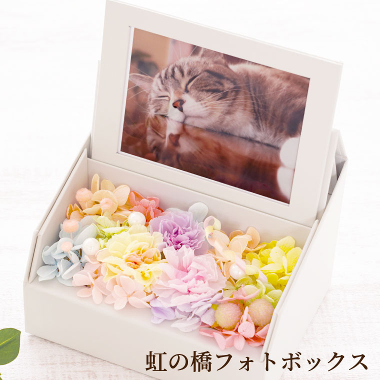Baskets - 【日付指定可】お彼岸 ペット メモリアル メモリアルグッズ 写真立て お彼岸 『 ペットちゃんの『 虹の橋 』〜 フォトボックス 〜 』 ペット供養 犬 お悔やみ 贈り物 供花 お供え 花 命日 ペット供養 フォトフレーム 仏花 プリザーブドフラワー お供え花 四十九日