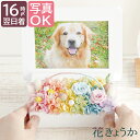 【日付指定可】 ペット 遺影 写真 ペット供養 プリザーブドフラワー 仏花 ミニ 『 虹の橋 フォトフレーム エトワール 』 お供え 花 ミニ仏壇 写真立て 犬...