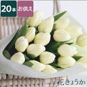 【廃番】 法事 お供え 花 49日 『 お供え用白い チューリップ の20本の 花束 』 お墓参り お悔やみ の花 ペット供養 供養花 お供え花 おしゃれ 四十九日 法要 一周忌 三回忌 お花 枕花 仏事 仏花 供花 命日 献花 葬儀 お悔み 切り花 生花 仏壇 仏壇用 お彼岸 彼岸