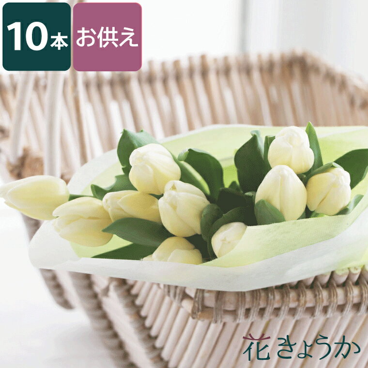 【廃番】 お悔やみ の花 贈り物 生花 仏花 『 お供え用 白い チューリップ の10本の 花束 』 お供え 花 おしゃれ 四十九日 法要 法事 お供え花 供養花 葬儀 一周忌 三回忌 お花 お悔み お墓参り 切り花 喪中見舞い 命日 枕花 献花 49日 ペット供養 お彼岸 彼岸