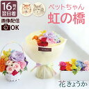 【日付指定可】 ペット お悔やみ 花 生花 アレンジメント お供え 仏花 供養 『 虹の橋 エールフラワー 』 お彼岸 そのまま飾れる 花束 ボックスフラワー ...