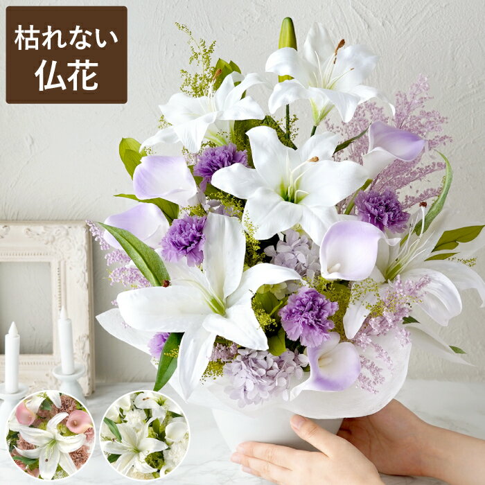 �����ջ���ġۤ���� ¤�� ʩ�� ��� ������� �������� �Ϥ�ʤ� �涡�� ����� Lily�٥�� �ץꥶ���֥ɥե� �������� �����ƥ��ե������ե��...