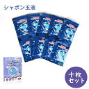 【P5倍+5%OFFクーポン】シャボン玉液 濃縮タイプ【10枚セット】シャボン玉補充液 しゃぼん バブルガン用シャボン玉液 玉吹き棒 補充液 安全 持ち運びやす...