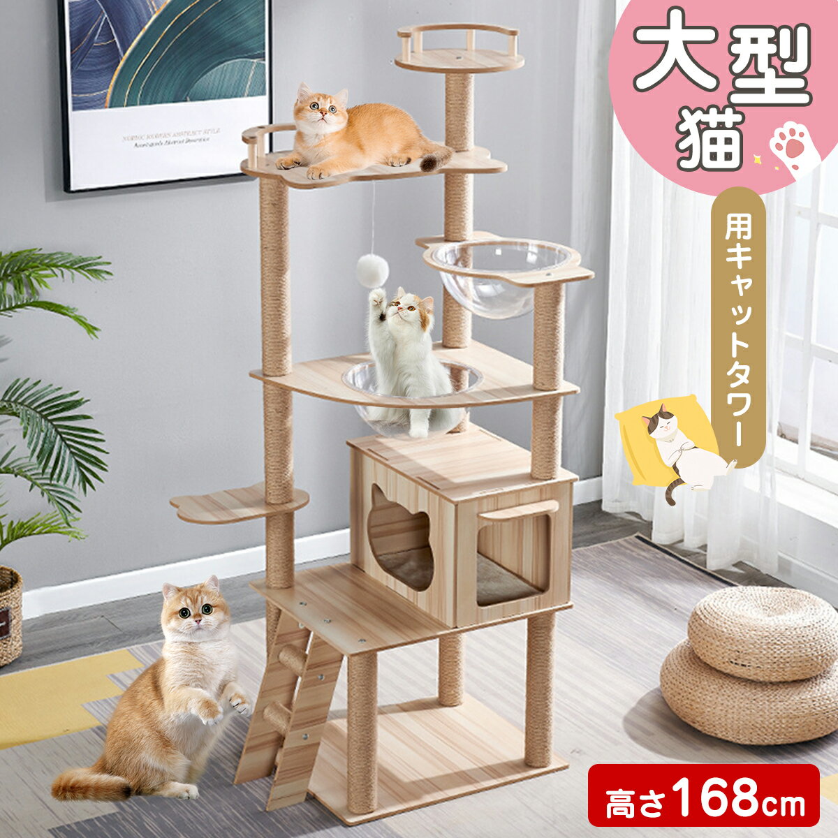 楽天市場】短足ねこ(猫用品|ペット・ペットグッズ)の通販 楽天市場】短足ねこ(猫用品|ペット・ペットグッズ)の通販