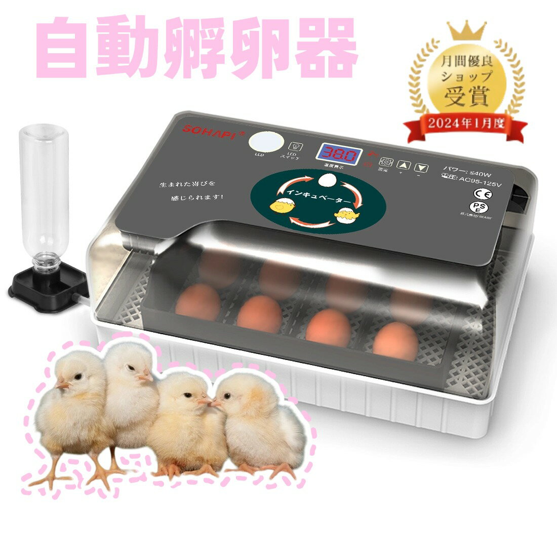 ڥޥ饽ֺ500OFFݥP5ܸۡդۼư  ۲ 󥭥١   Ļ...
