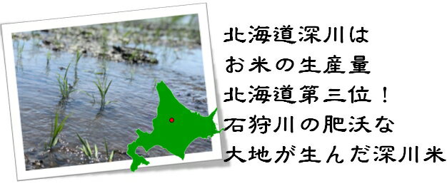 北海道を応援【るるじぃが作ったお米 -ふっくりんこ2合パック（300g）- 】お米 白米 米 北海道産 おにぎりフックリンコ おいしいお米 おこめ 美味しい おいしい 北海道米 お土産 お取り寄せ JAL ご当地 グルメ ギフト プレゼント 内祝い 引越し 挨拶 深川産