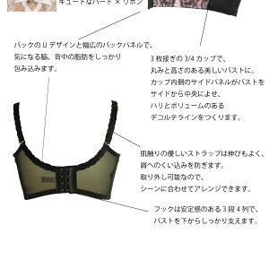 エクランセミロングブラジャー