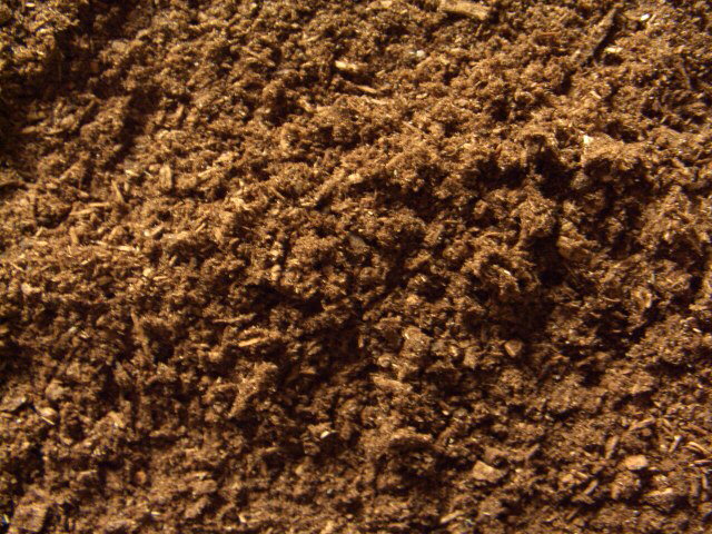 �����ѡ������ѥ��֥ȥޥåȡ�10L��6���������¤��ľ��������¤������2��5���ʿ�ˤ���2��17���ޤǡ����������ϵٶȤΰ١�ȯ���Ǥ��ޤ���ۡ�Ȣ���礭�������̤ˤ��Ʊ���Ǥ��ޤ���ۡ��̳�ƻ������ϡ�ȯ���Ǥ��ޤ����