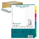 マルマン インデックス A5 20穴 (2穴対応) インデックスシート 8山 1組 120冊 LT6008X120(3)