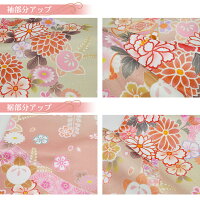 訪問着レンタル19点フルコーディネートセット「ピンク地に緑ぼかし菊と桜」往復送料無料