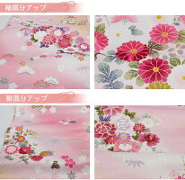 訪問着レンタル19点フルコーディネートセット「ピンク地に緑ぼかし菊と桜」往復送料無料