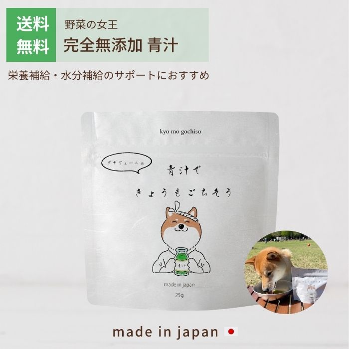 【無添加犬用青汁】 水分補給におすすめ 野菜 青汁 プチヴェール ふりかけ 犬 ペット 完全無添加 国産 無添加 25g パウダー 有機栽培 自然 カルシウム βカロテン ビタミン 栄養補給 酵素 甘い トッピング ご褒美 犬用おやつ サプリメント きょうもごちそうのサムネイル