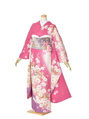 https://thumbnail.image.rakuten.co.jp/@0_mall/kyonagomi/cabinet/furisode/compass1561128925.jpg