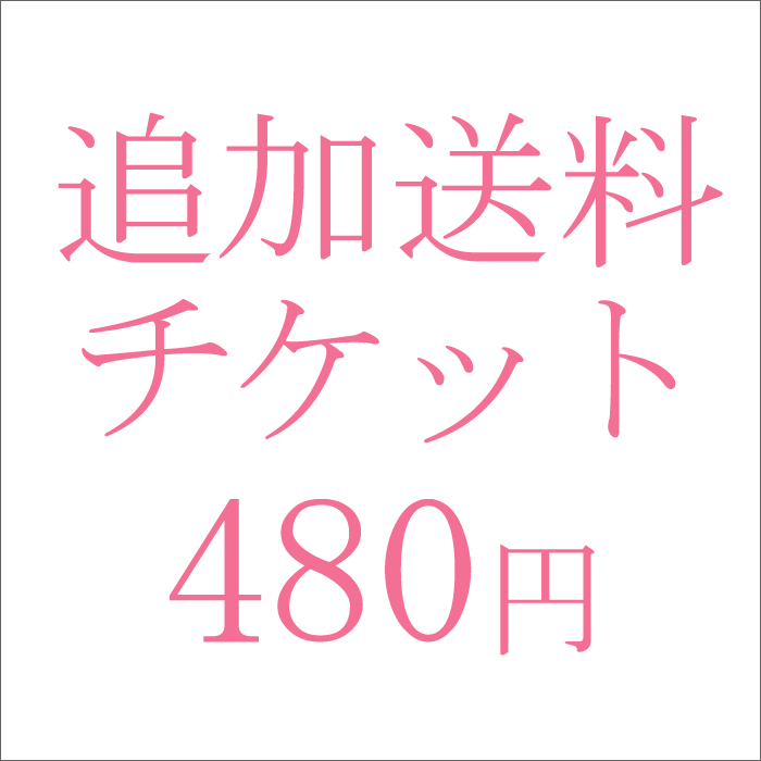 追加料金480円