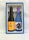 【ギフト箱入り】海 芋焼酎&富乃宝山 芋焼酎720ml×2本 大海酒造 西酒造