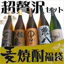 兼八 麦焼酎 超贅沢なセットが実現！一粒の麦 / 中々 なかなか / 佐藤　麦 /焼酎屋 兼八 / 黒さそり1800ml×5本　父の日