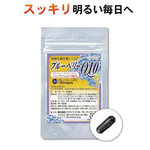 【ポスト投函 送料無料】ブルーベリーQ10 1ヵ月分30粒（栄養補助食品 安心 安全 健康 視力 目 瞳 サプリ サプリメント ブルーベリー コエンザイムQ10 ビルベリー ルテイン アントシアニン ブラックカラント）