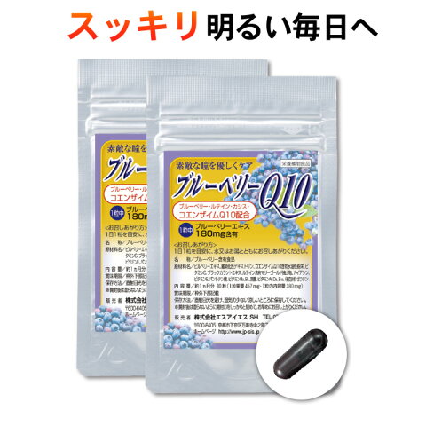 【ポスト投函 送料無料】ブルーベリーQ10 2ヵ月分60粒(30粒入×2袋)（栄養補助食品 安心 安全 健康 視力 目 瞳 サプリ サプリメント ブルーベリー コエンザイムQ10 ビルベリー ルテイン アントシアニン ブラックカラント）