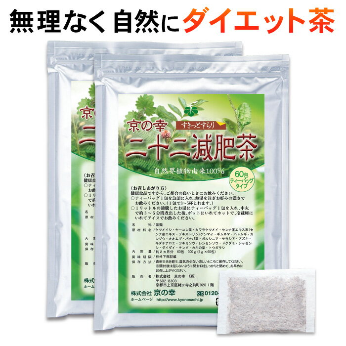 ダイエット お茶 二十二減肥茶4ヵ月分120包（自然植物100％ 安心 安全 健康食品 ダイエット茶　痩せる むくみ スッキリ 新陳代謝 デトックス センナ バナバ葉 どくだみ ギムネマシルベスタ 食べ過ぎ 運動不足 暴飲暴食）