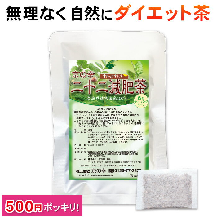 ダイエット お茶 二十二減肥茶お試し6包【初めての方限定】（500円ポッキリ ぽっきり ポイント消化 自然植物100％ 安心 安全 健康 健康食品 ダイエット食品 ダイエット茶　痩せる むくみ スッキリ 新陳代謝 センナ バナバ葉 どくだみ）