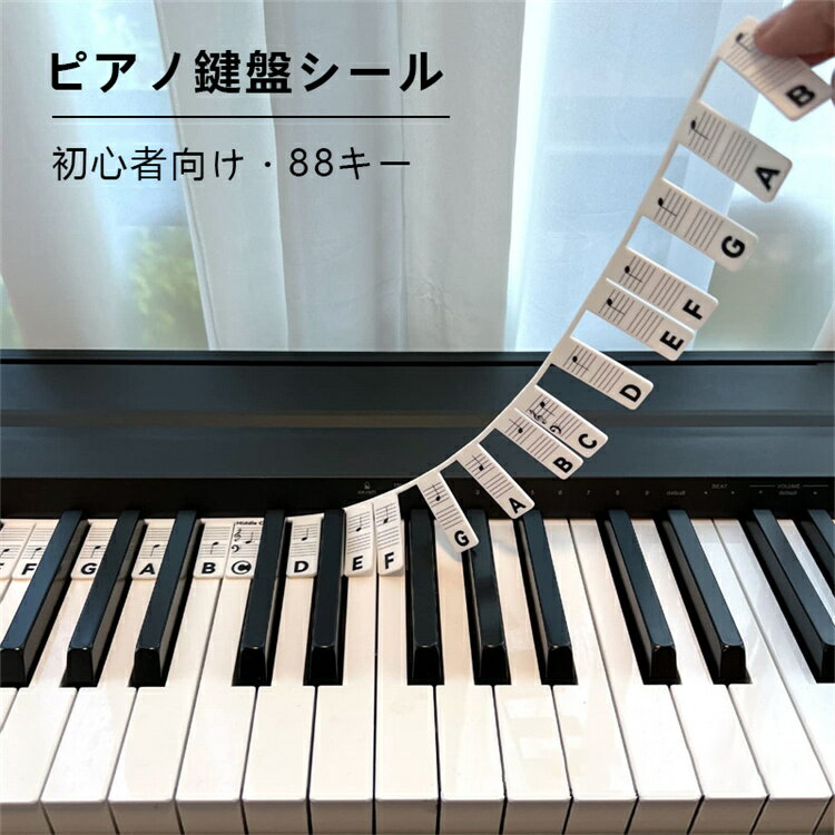 ピアノ シール 鍵盤シール ステッカー キーボード 音符 88キー 鍵盤シール フルサイズ鍵盤ピアノキーボード 音楽ノート 音階 初心者向け 初心者 子供 ピアノ練習 取り外し可能