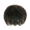 送料無料 メンズウィッグ wig ヘアピース カール 人毛100% つけ毛 ショートヘア ワンタッチエクステ 白髪隠れ 自然 軽量 ふわふわ ポイントウィッグ ...