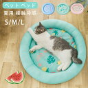 ペット ベッド 夏用 接触冷感 ペット用クールソファベッド 犬 猫 メッシュ ペットマット 円形 直径 40cm 50cm 60cm 猫 ベッド おしゃれ ひん...