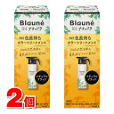 花王 ブローネ ナチュリラ 色長持ちカラートリートメント ブラック 本体 155g ×2個