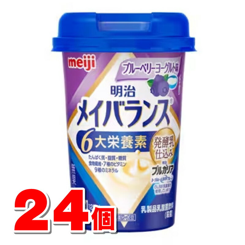  ᥤХ Miniå ֥롼٥꡼衼̣ 125mL24