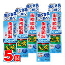 【医薬部外品】 小林製薬 生葉 息スーッと実感タイプ 100g ×5個 ★(4)