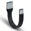 USB-C メス to USB-A メス 変換アダプタ、USB C to A 変換ケーブル、USB Type-A to Type-C 変換ケーブル【10Gbps 高速データ転送同期】 USB A - USB C 延長変換コネクタ対応MacBook/P