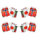 万国旗 世界 国旗 100ヶ国 全長25m 日本 日の丸有り 運動会 文化際 フェスティバル 国際交 ...