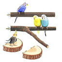 4点セット入り インコ 止まり木 鳥用品 パーチ 爪を研ぎ 爪を磨く 鳥 爪切り 鳥スタンド 枝 インコ おもちゃ 鳥おもちゃ 噛むおもちゃ ケージスタンド ケージアクセサリー 鳥栖 鳥休み場所 オウムスタンド おやすみボード 止まり台 遊び道具 ス