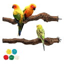 2本セット インコ とまり木 天然ブドウの木 爪とぎパーチ インコ 止まり木 爪を研ぎ 鳥スタンド 枝 インコ おもちゃ 鳥おもちゃ 噛むおもちゃ 鳥用品 鳥休み場所 インコ オウム パーチ バランス練習 おもちゃ ストレス解消 取り付け簡単 ケージ
