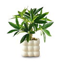 光触媒 フェイクグリーン ミニ観葉植物 熱帯観葉植物 金のなる木セラミック材質角型鉢 造花 観葉植物 フェイク 鉢付き おしゃれなインテリア雑貨 世話不要 水や...