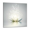 花 アートパネル ポスター 蓮の花 絵画 インテリア 植物 壁掛け 花の絵 部屋 飾り絵 壁掛け装飾品 玄関に飾る絵 木枠付きの完成品(40x40cm)