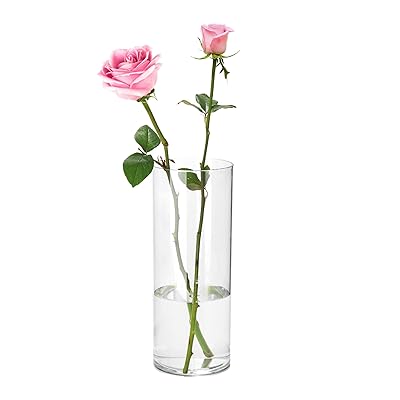 花瓶 割れない 透明 フラワーベース アクリル おしゃれ 上品 大きい インテリア 花器 水栽培 生け花 造花用、リビング、寝室、オフィスなどの装飾に適しています (直径10cm 高さ30cm ) 花瓶 割れない 透明 フラワーベース アクリル おしゃれ 上品 大きい インテリア 花器 水栽培 生け花 造花用、リビング、寝室、オフィスなどの装飾に適しています (直径10cm 高さ30cm )