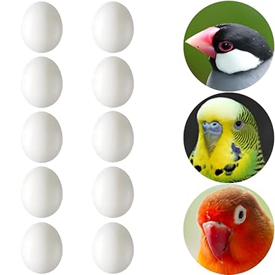 偽卵 プラスチック卵 10個セッ 鳥おもちゃ インコ おもちゃ ト ダミー卵 セキセイインコ 小鳥
