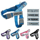ハーネス 中型犬 大型犬 サービス犬ハーネス 犬用ハーネス 犬用胴輪 4枚の反射パッチ付き ハンドル 通気性 耐久性 引っ張り防止 サイズ調整可能 散歩 訓練 ランニングギア(ブルー M)(4)