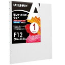 張りキャンバス セット F12 (60.6cmX50cm) 中目 全麻 1枚 リネン 専門の絵画用具 芸術絵創作 現代油絵 美術装飾 水彩画・油絵画・アクリル兼...