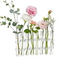 moin moin フラワーベース フラスコ 試験管 (直径2.5cm×高15cm) 花瓶 クリア リンクチューブ ベース おしゃれ 観葉植物 花 水耕栽培 植木鉢 ガラス 8連 ブラシ付 2203fb12