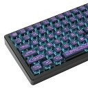 120 キー ASA プロファイル PBT プディング キーキャップ スペース 昇華型カスタム キーキャップ チェリー Gateron MX スイッチ メカニカル ゲーミング キーボード用(Punk Purple)