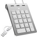 有線テンキー18キー薄型 USB A/Type-C テンキー人間工学ミニテンキー 3つのUSB 2.0ポートを装備、18キー、オフィス計算用テンキー、mac テンキー 片手デバイス 外部 PC/Laptop/Windows/iOS/Android 対(2)