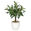 フェイクグリーン インテリアグリーン オリーブの木 人工 観葉植物 フェイク フルーツ 造花 インテリア お手入れやすい 水やり不要 害虫駆除不要 室内 家庭 ...