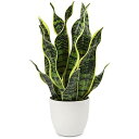 インテリアグリーン 観葉植物 フェイク フェイクグリーン サンスベリア 人工観葉植物 造花 卓上鉢植え テーブルデコレーション エアプランツ おしゃれ ギフト ...