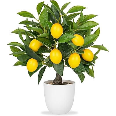 フェイクグリーン インテリアグリーン レモン ツリー 人工 観葉植物 フェイク フルーツ 造花 インテリア お手入れやすい 水やり不要 害虫駆除不要 室内 家庭 オフィス おしゃれ お祝い ギフト (白い鉢) フェイクグリーン インテリアグリーン レモン ツリー 人工 観葉植物 フェイク フルーツ 造花 インテリア お手入れやすい 水やり不要 害虫駆除不要 室内 家庭 オフィス おしゃれ お祝い ギフト (白い鉢)