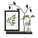 写真たて 2面 はがき2L フォトフレーム 植物栽培可 写真立て かわいい (ブラック, 2L)