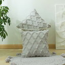 クッションカバー 50x50cm 北欧 2枚セット フェイクファー ベルベット おしゃれ 可愛い 柔らかい 立体的 柄 幾何学模様 モダン ファスナー 家庭装飾...